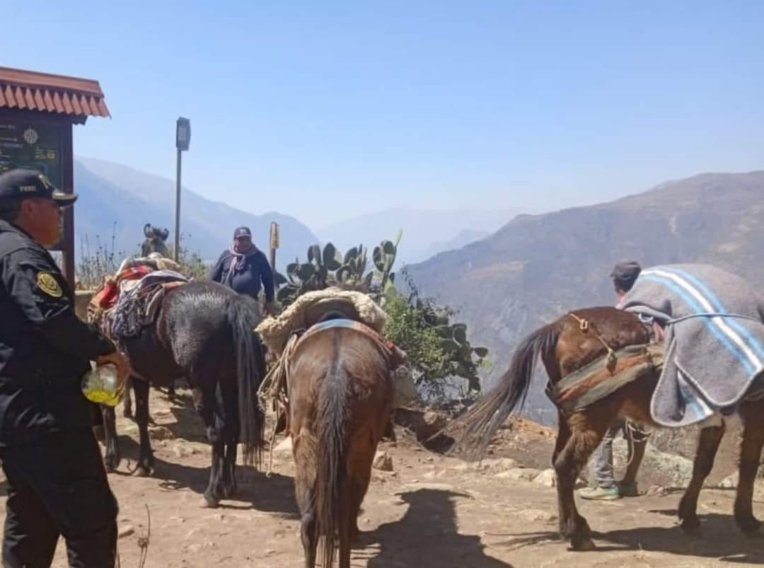 TURISTA FEMENINA FALLECE EN PASEO HACIA CHOQUEQUIRARO
